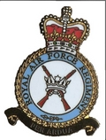 RAF Regiment Badge and Rock Apes 2 pin set