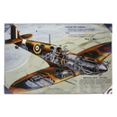 Spitfire - RAF Design Print on Hardboard