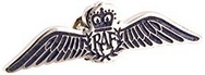 Official RAF Wings Brevet Pin Badge