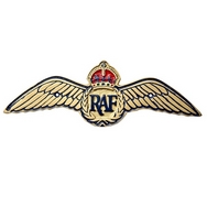 RAF Cast Aluminium Wings Wall Plaque