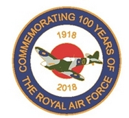 Royal Air Force 100 Years Roundel Pin