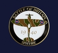 Official Battle of Britain 75th Anniversary Logo pin